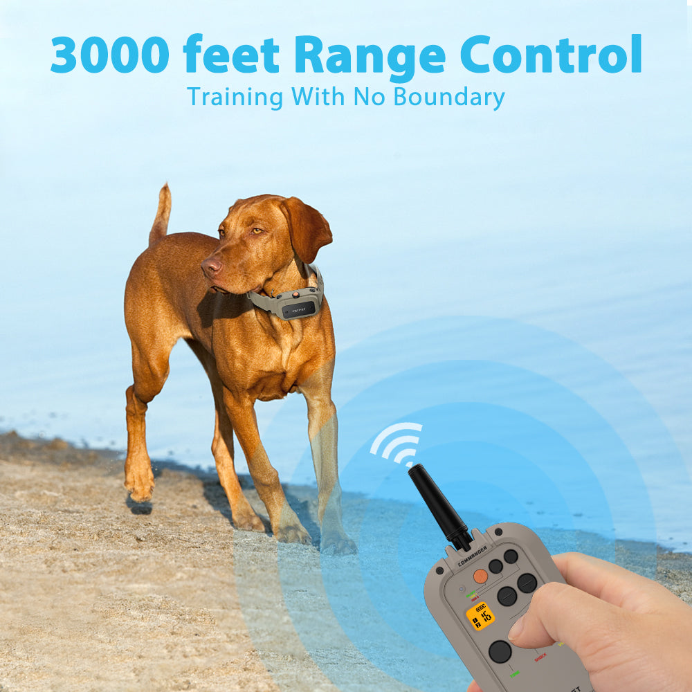 920Pro Dog Training Collar PATPET