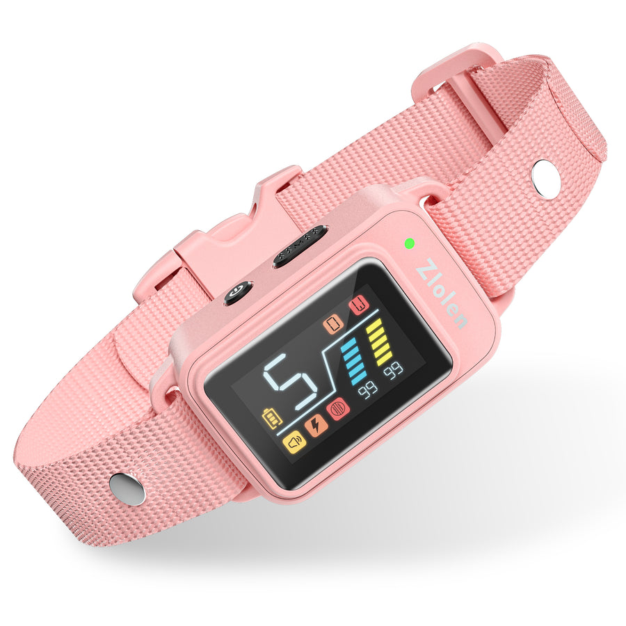 New Arrivals – PATPET