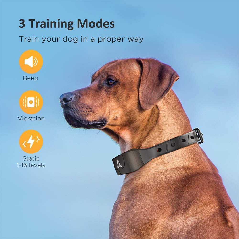 640 Dog Training Collar (Medium/Large Breed) PATPET