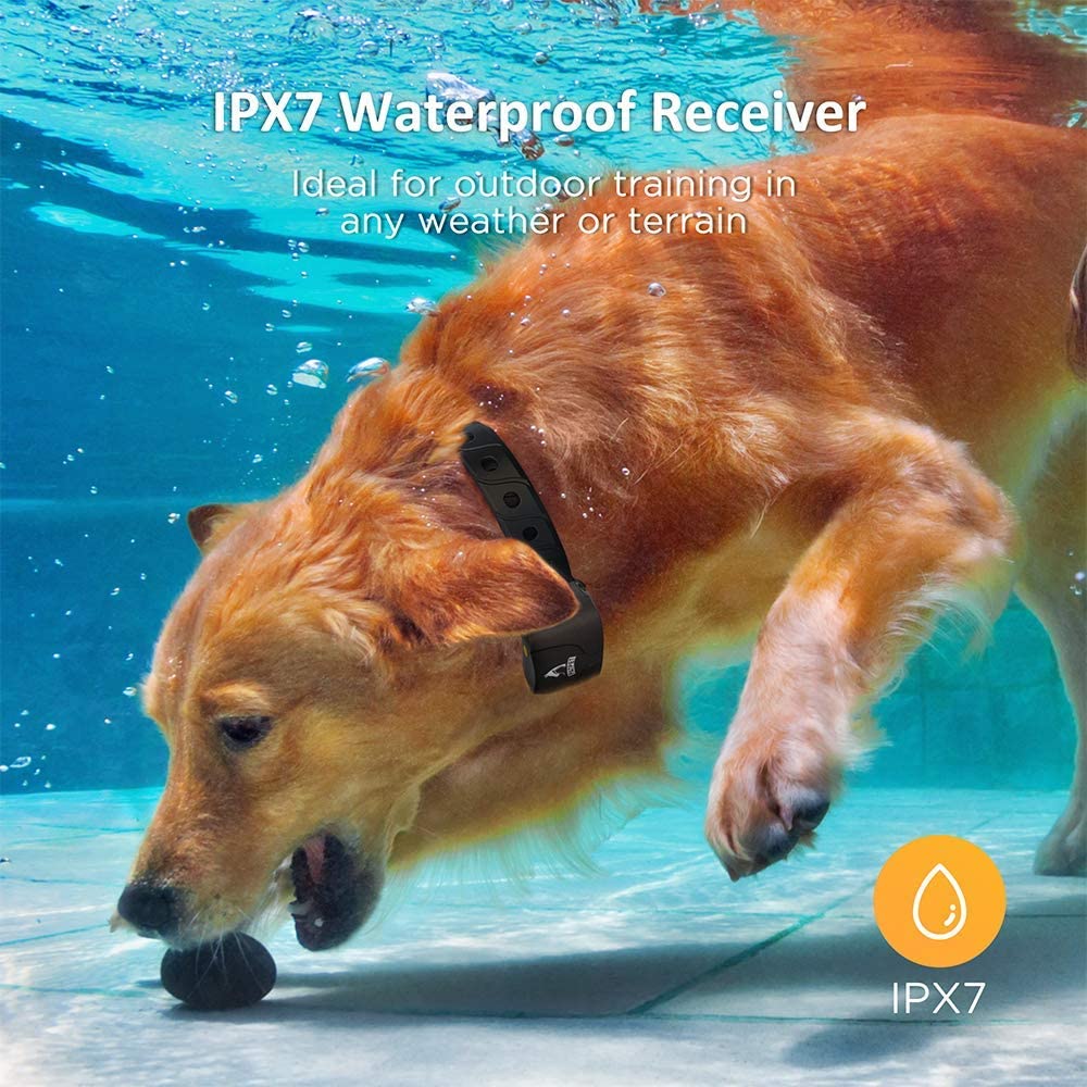 Dog Collar PATPET Dog Training Collar 1000ft Range Rechargeable