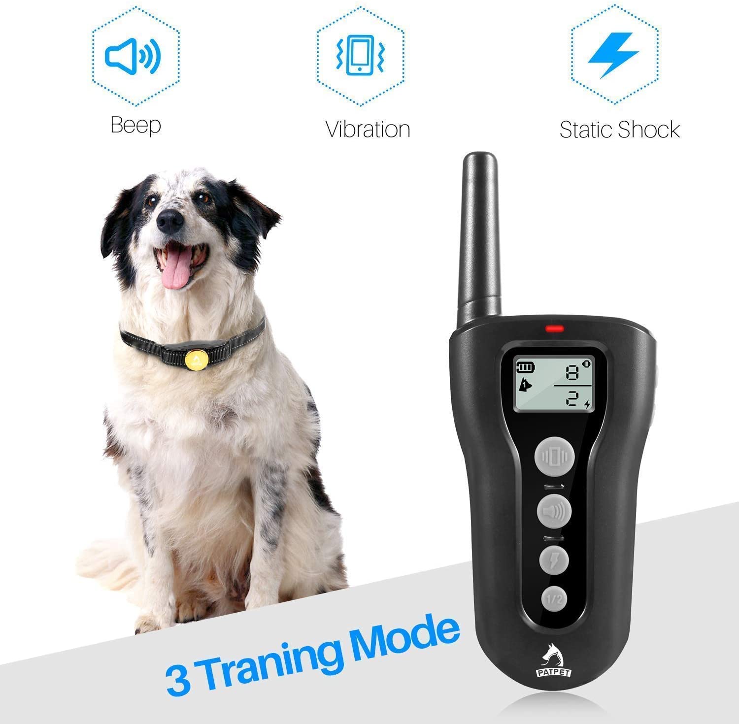 Patpet dog training collar review best sale